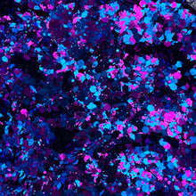 Load image into Gallery viewer, 1/4oz Raw Glitter Chunky - Fuchsia / Blue