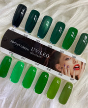 Load image into Gallery viewer, Forest Green Collection (single bottle) #1-12
