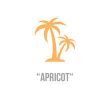 Load image into Gallery viewer, Apricot | Orange Acrylic
