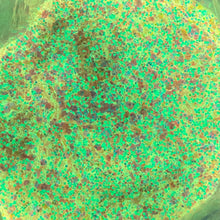 Load image into Gallery viewer, 1/4oz Raw Glitter Chunky- Soft Pink Glow
