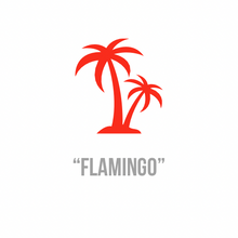 Load image into Gallery viewer, Flamingo | Orange Acrylic

