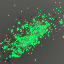 Load image into Gallery viewer, 1/4oz Raw Glitter Chunky- Blush Glow
