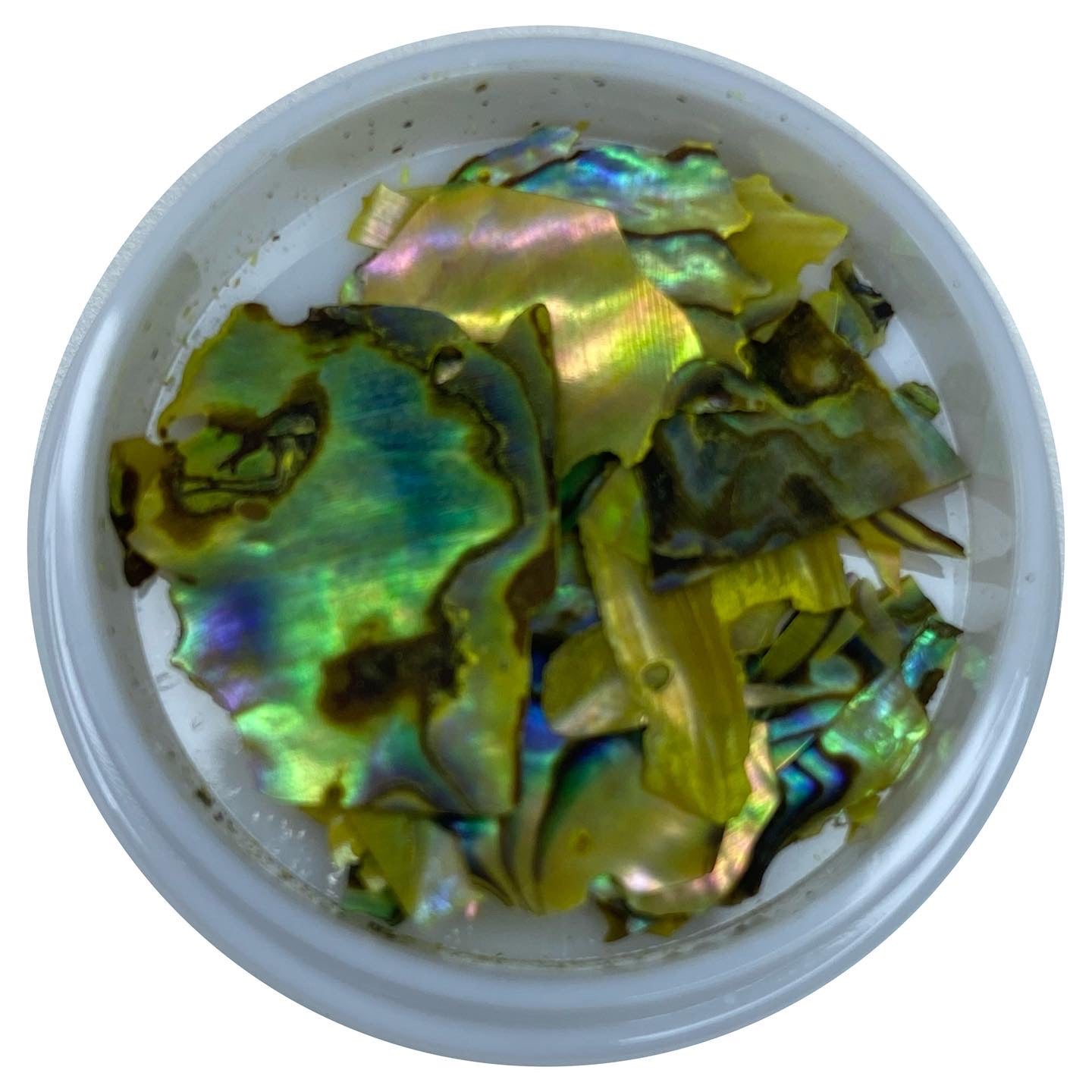 Seaweed | Broken Seashells - Yellow