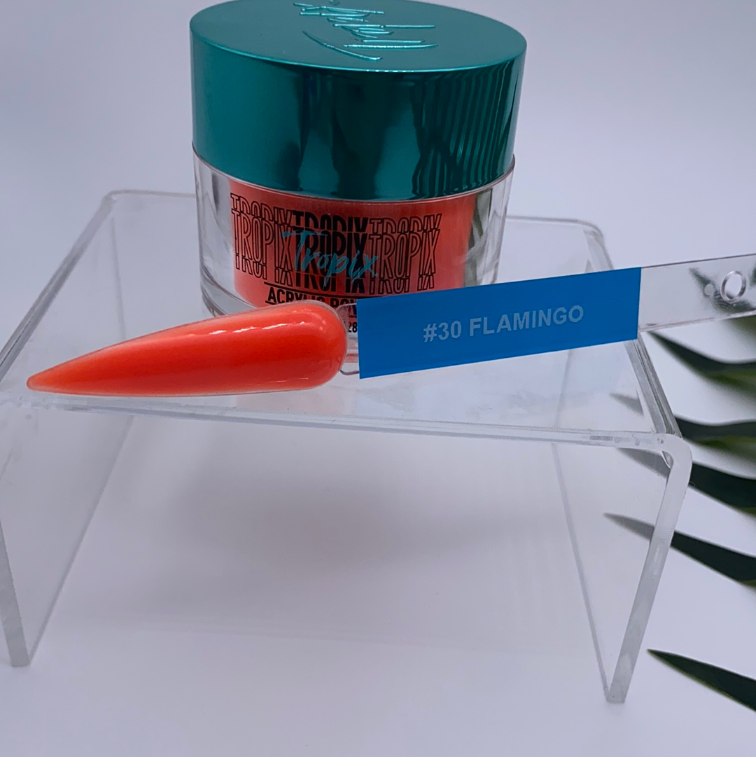 Flamingo | Orange Acrylic